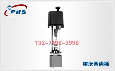 ZDLY�綯��С��С�������ڷ�